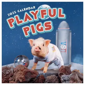 TF Publishing 2025 Playful Pigs Wall Calendar